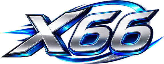 x66